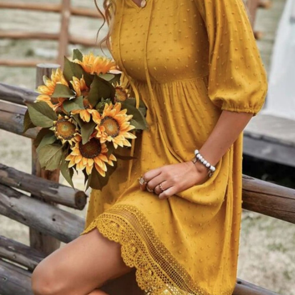 NWT Swiss Dot Tie Neck Lace Hem Dress